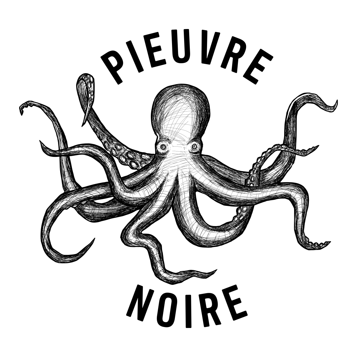 Pieuvre Noire Kombucha